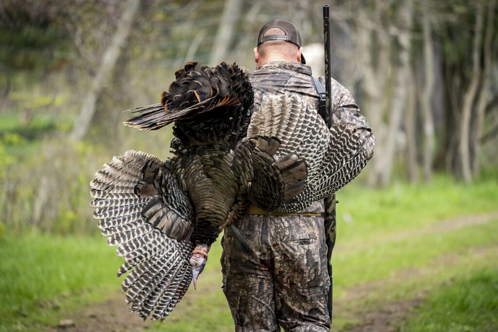 2023 Turkey Season