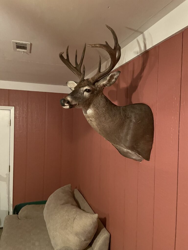 Got kicked out for this