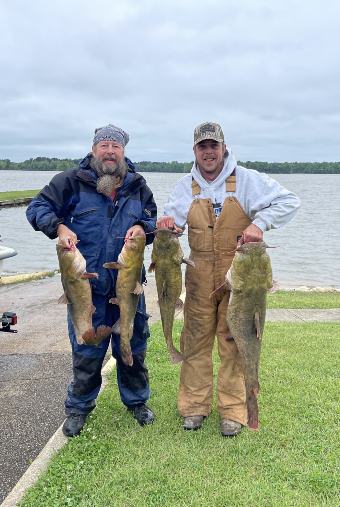 Tenn Tom Flatheads
