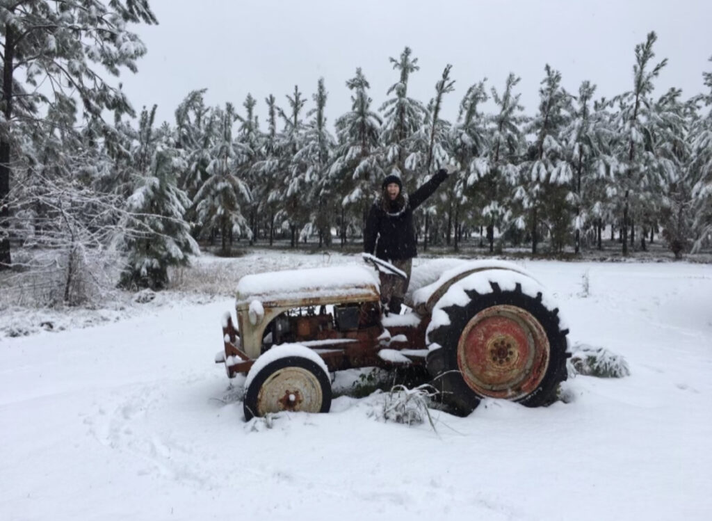 Stephanie on an antique 8N Ford tractor
