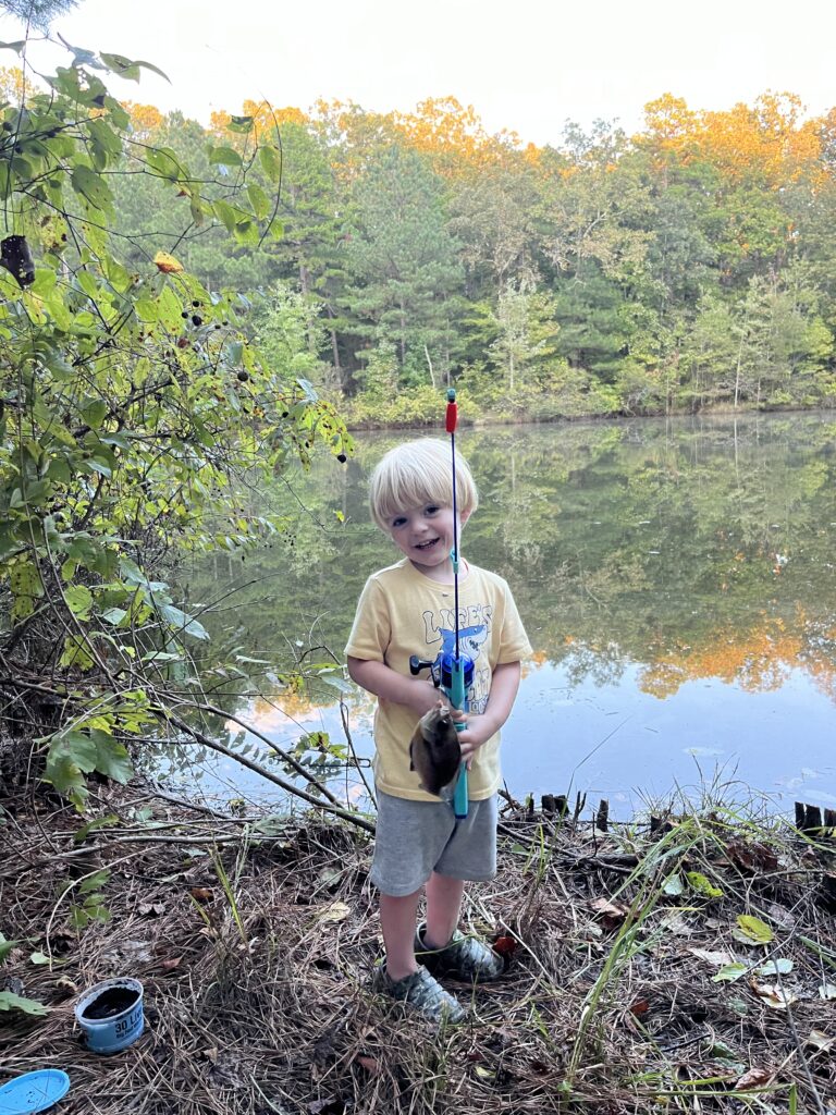 Cooper’s Opossum