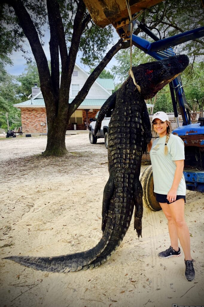 Alligator Season 2022